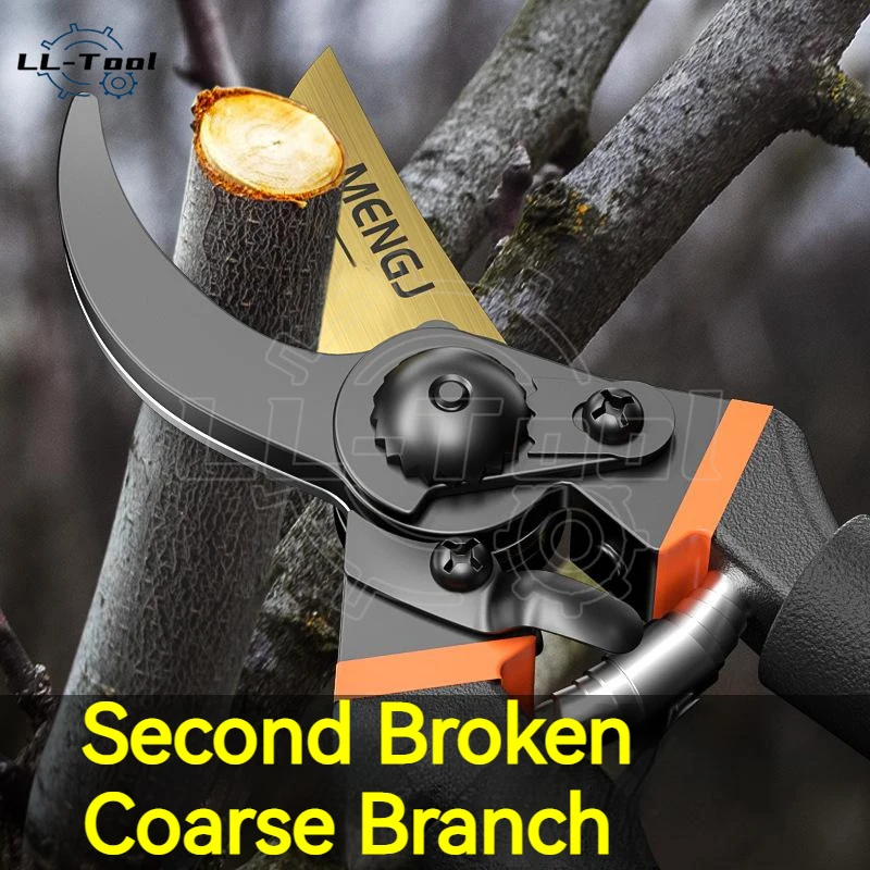 Horticultural Pruning Tools Scissors Pruning And Fruit Picking Scissors Steel Blade Labor Saving Scissors Folding Saw Set
Horticultural Pruning Tools Scissors Pruning And Fruit Picking Scissors Steel Blade Labor Saving Scissors Folding Saw Set