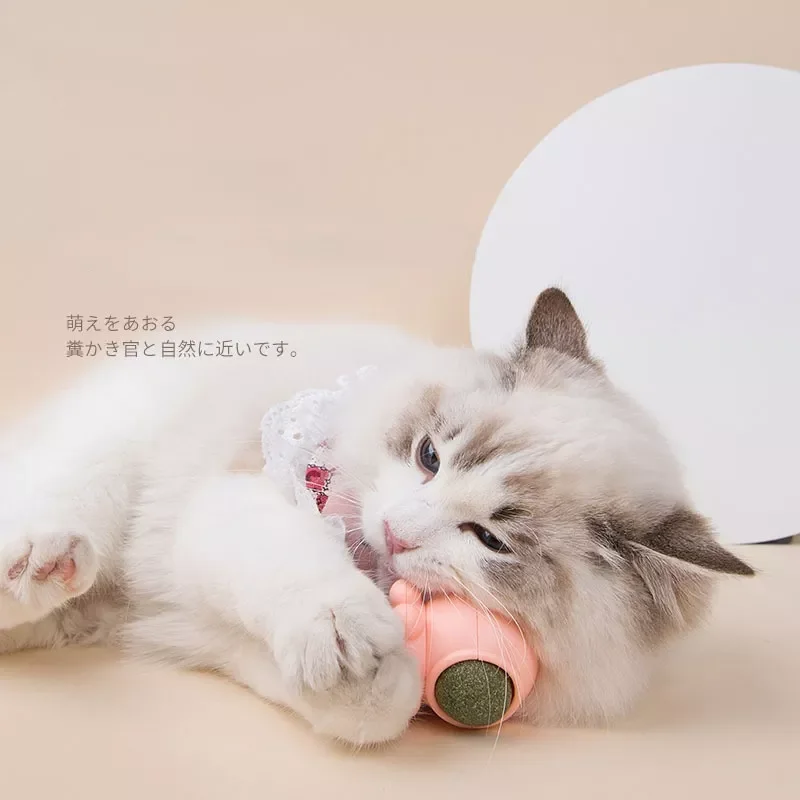 360 Rotation Natural Catnip Pet Roducts Cat Toys Chewing Toy Accessories Kitten Edible Treating Cleaning Teeth Teasing Supplies
360 Rotation Natural Catnip Pet Roducts Cat Toys Chewing Toy Accessories Kitten Edible Treating Cleaning Teeth Teasing Supplies