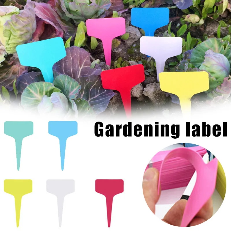 100 Pcs Plant Tags Garden Label Thicken Plastic Colorful Waterproof Tagging Marker Reusable Pot Plant Vegetable Seedling Tray FU
100 Pcs Plant Tags Garden Label Thicken Plastic Colorful Waterproof Tagging Marker Reusable Pot Plant Vegetable Seedling Tray FU