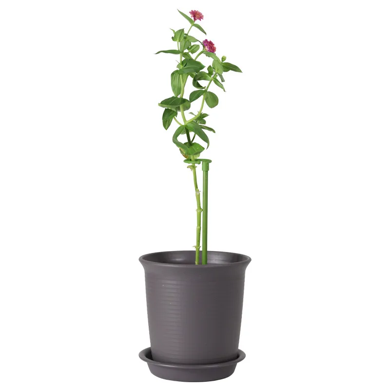 6Pcs Plastic Plant Support Flower Rack Reusable Protection Fixed Tools Gardening Supplies Vegetable Rack Plant Accessorise
6Pcs Plastic Plant Support Flower Rack Reusable Protection Fixed Tools Gardening Supplies Vegetable Rack Plant Accessorise