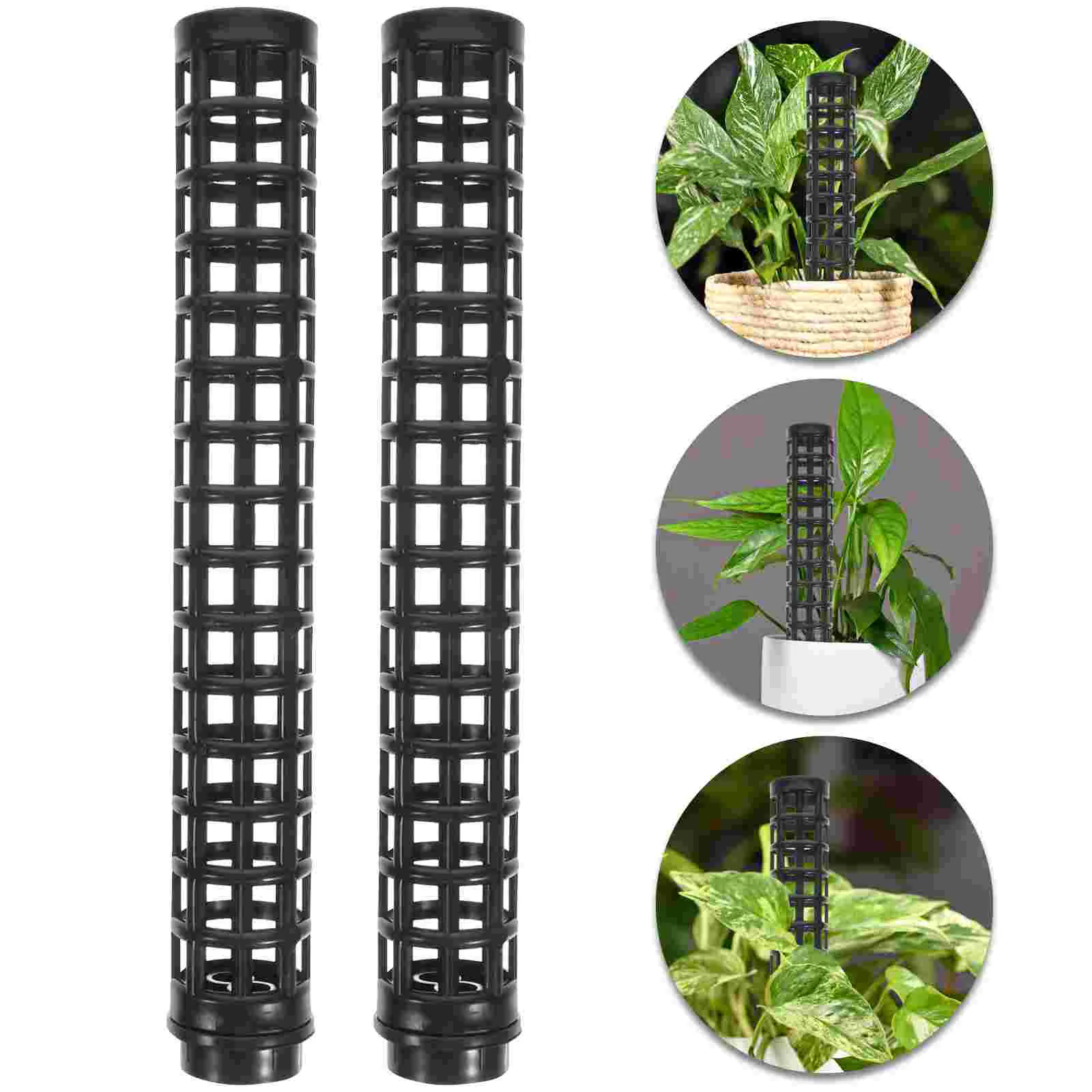 2 Pcs Houseplant Pots Indoor Trellis Decorative Plants Climbing Garden Vine Cage Sphagnum Pillar
2 Pcs Houseplant Pots Indoor Trellis Decorative Plants Climbing Garden Vine Cage Sphagnum Pillar