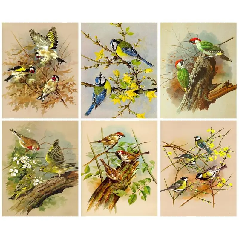 GATYZTORY Paint By Numbers Magpie Diy Coloring By Number Bird Animal Kits Hand Painted Art Drawing On Canvas Gift Home Decor
GATYZTORY Paint By Numbers Magpie Diy Coloring By Number Bird Animal Kits Hand Painted Art Drawing On Canvas Gift Home Decor