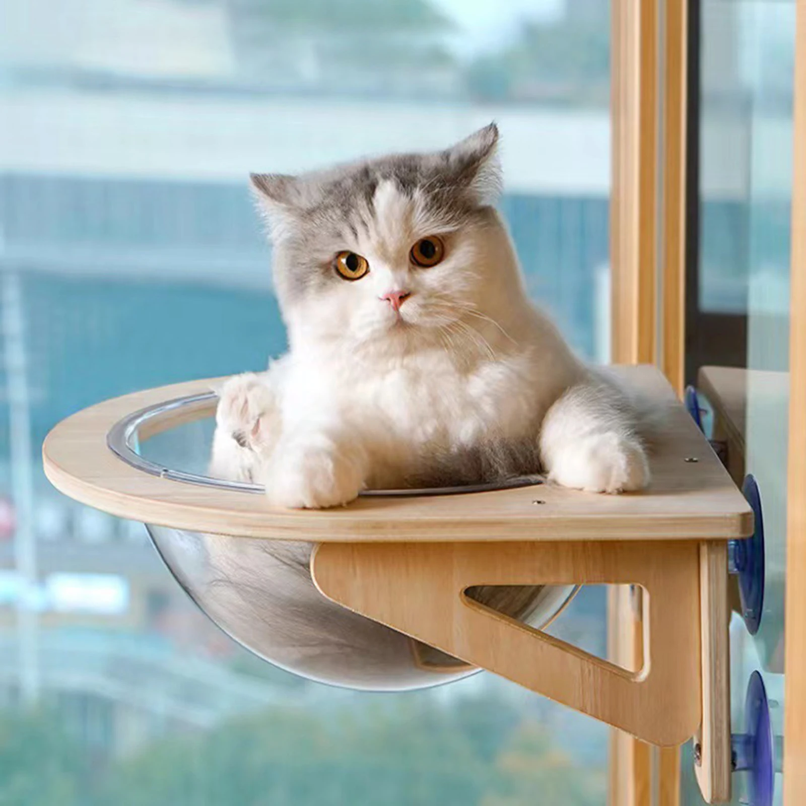 Indoor Cat Hammock Basking Bed Semi-Space Capsule Durable Solid Wood Frame Basking Cat Window Perch for Overlooking Playing
Indoor Cat Hammock Basking Bed Semi-Space Capsule Durable Solid Wood Frame Basking Cat Window Perch for Overlooking Playing