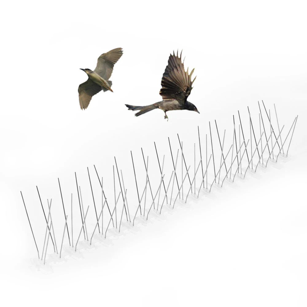 Stainless Steel Thorn Get Rid of Pigeons and Scare Birds Pest Control Bird and Pigeon Spikes Anti Pigeon Spike Garden Protection
Stainless Steel Thorn Get Rid of Pigeons and Scare Birds Pest Control Bird and Pigeon Spikes Anti Pigeon Spike Garden Protection