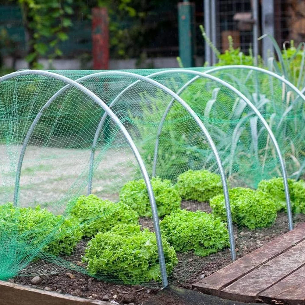 Extra Strong Anti Bird Net Nylon Garden Netting Mesh for Fruit Crop Plant Tree Reusable Protection Covers Against Bird Deer Tool
Extra Strong Anti Bird Net Nylon Garden Netting Mesh for Fruit Crop Plant Tree Reusable Protection Covers Against Bird Deer Tool