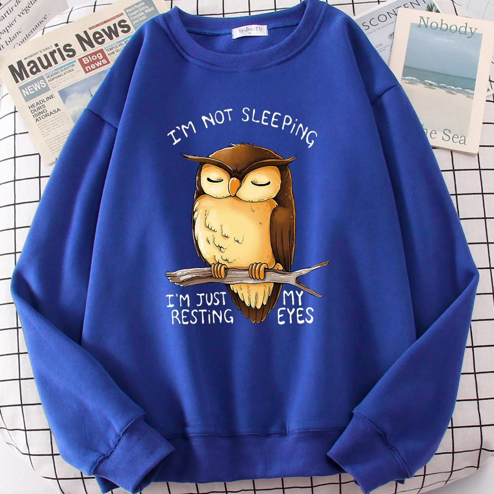 Cute Owl I'M Not Sleeping Im Just Resting My Eyes Sweatshirt Skin Friendly Male Clothing Harajuku Tracksuit Warm Hoodie Mens
Cute Owl I'M Not Sleeping Im Just Resting My Eyes Sweatshirt Skin Friendly Male Clothing Harajuku Tracksuit Warm Hoodie Mens