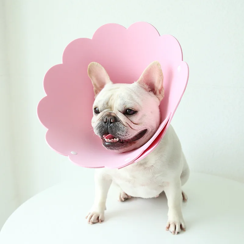 Pet Dog Sunflower Shaped Elizabethan Collar Pet Cat Anti-Bite Recovery Collar Wound Healing Protection Pet Cats Surgery
Pet Dog Sunflower Shaped Elizabethan Collar Pet Cat Anti-Bite Recovery Collar Wound Healing Protection Pet Cats Surgery