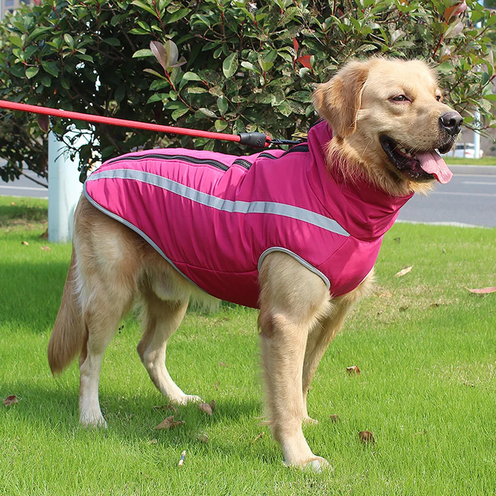Winter Warm Thicken Vest Pet Dog Jacket Reflective Waterproof Dog Clothes for Large Medium Dogs French Bulldog Pet Supplies
Winter Warm Thicken Vest Pet Dog Jacket Reflective Waterproof Dog Clothes for Large Medium Dogs French Bulldog Pet Supplies