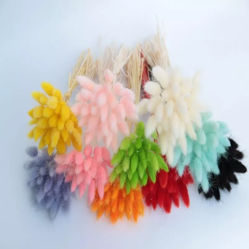 60Pcs/lot Gradient Lagurus Ovatus Natural Dried Flowers Bouquet Home Wedding Easter Decoration Rabbit Tail Grass Real Flowers
60Pcs/lot Gradient Lagurus Ovatus Natural Dried Flowers Bouquet Home Wedding Easter Decoration Rabbit Tail Grass Real Flowers