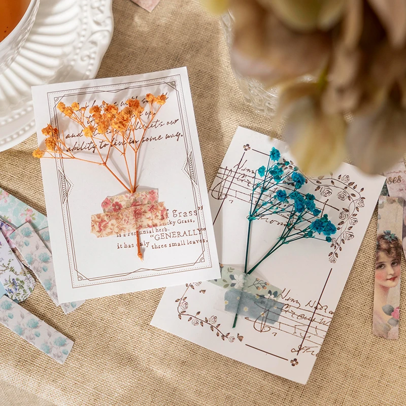 20Packs Wholesale Paper Sticker Girls Adventures Wonderland Rose literary handbook stickers Material Decorative Scrapbooking
20Packs Wholesale Paper Sticker Girls Adventures Wonderland Rose literary handbook stickers Material Decorative Scrapbooking