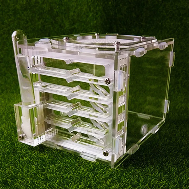 Ant House Toy Insect Cage Nest Farms Acrylic Display Box Kid Scientific Observation Educational DIY Toys Size 13.5x10.5x9.5CM An
Ant House Toy Insect Cage Nest Farms Acrylic Display Box Kid Scientific Observation Educational DIY Toys Size 13.5x10.5x9.5CM An