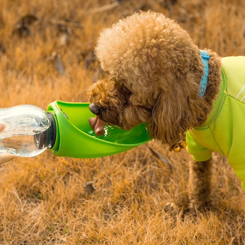680Ml Portable Pet Dog Water Bottle Soft Silicone Leaf Design Travel Dog Bowl for Puppy Cat Drinking Outdoor Pet Water Dispenser
680Ml Portable Pet Dog Water Bottle Soft Silicone Leaf Design Travel Dog Bowl for Puppy Cat Drinking Outdoor Pet Water Dispenser