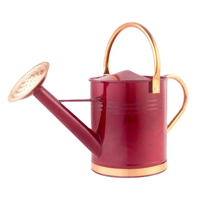 1Pc 5L Useful Watering Can Household Watering Pot Gardening Kettle Tool Iron Watering Pot
1Pc 5L Useful Watering Can Household Watering Pot Gardening Kettle Tool Iron Watering Pot