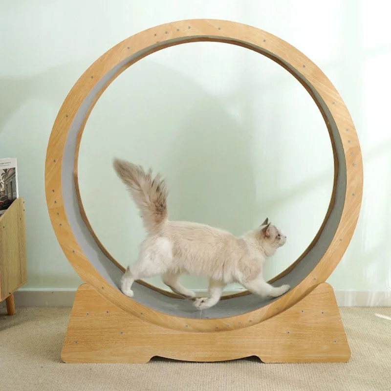 Exercise Wheel for Cats Tunnel Pet Treadmill Cat Climbing Frame Interactive Cat Toys Scraper Games Park Pet Items Furniture
Exercise Wheel for Cats Tunnel Pet Treadmill Cat Climbing Frame Interactive Cat Toys Scraper Games Park Pet Items Furniture