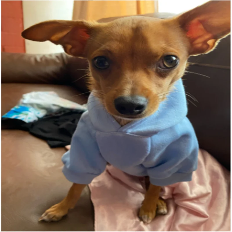 Pet Dog Clothes Four Seasons Pets Hoodie Pet Clothes Small and Medium-sized Dog Chihuahua Dog Jacket Puppy Clothes Cheap Clothes
Pet Dog Clothes Four Seasons Pets Hoodie Pet Clothes Small and Medium-sized Dog Chihuahua Dog Jacket Puppy Clothes Cheap Clothes