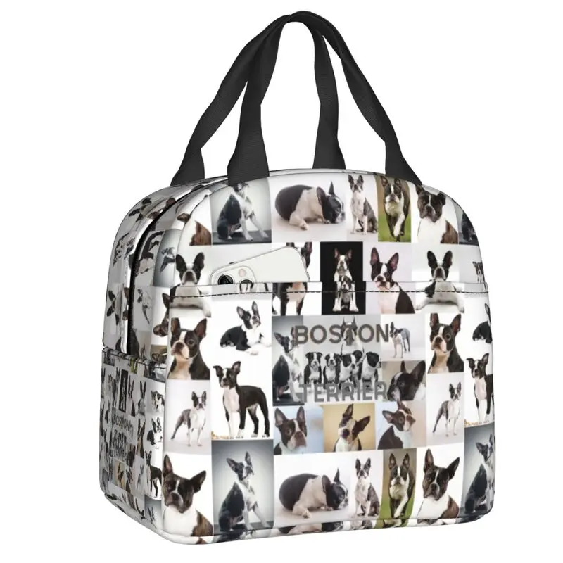 Custom Boston Terrier Funny Meme Lunch Bag Women Cooler Warm Insulated Lunch Boxes for Kids School Children
Custom Boston Terrier Funny Meme Lunch Bag Women Cooler Warm Insulated Lunch Boxes for Kids School Children