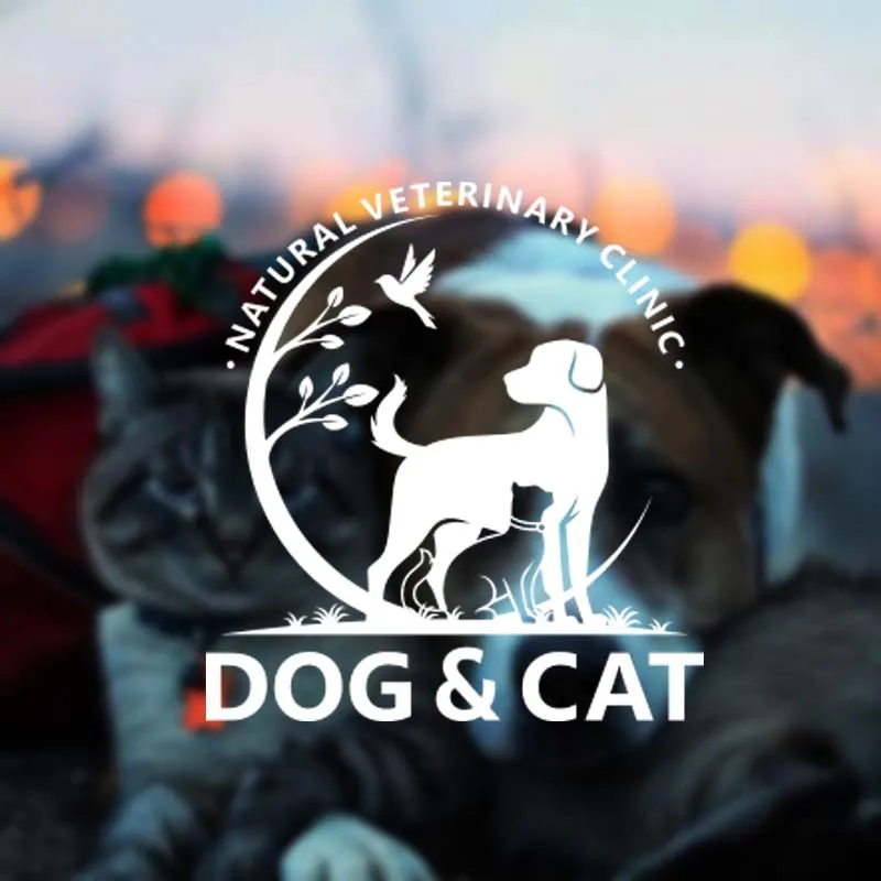 Виниловая наклейка на стену в виде кошки, натуральная ветеринарная клиника, животное, искусство, наклейка на стену, домашний салон, зоомагазин, декоративное украшение
Виниловая наклейка на стену в виде кошки, натуральная ветеринарная клиника, животное, искусство, наклейка на стену, домашний салон, зоомагазин, декоративное украшение