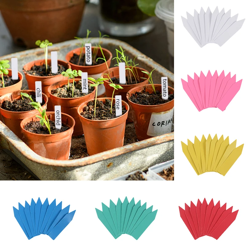 100pc Garden Plant Labels Nursery Markers Flower Pots Seedling Tray Tags Write Sign Mark DIY Garden Decoration Tools Accessories
100pc Garden Plant Labels Nursery Markers Flower Pots Seedling Tray Tags Write Sign Mark DIY Garden Decoration Tools Accessories