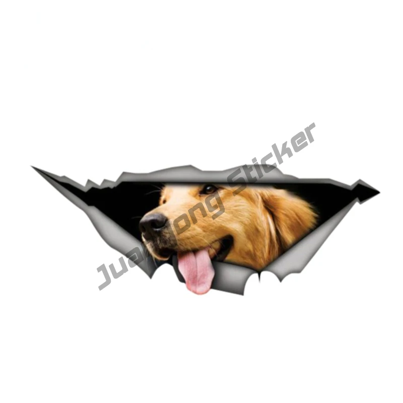 Golden Retriever Animal Car Sticker 3D Pet Graphic Creative Decal for SUV Window Laptop Graffiti Cover Scratches Decor PVC13x5cm
Golden Retriever Animal Car Sticker 3D Pet Graphic Creative Decal for SUV Window Laptop Graffiti Cover Scratches Decor PVC13x5cm