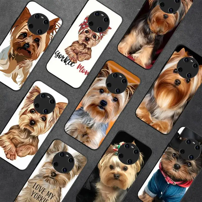 Mini Yorkshire Terrier Dog Phone Case for Huawei Y 6 9 7 5 8s prime 2019 2018 enjoy 7 plus
Mini Yorkshire Terrier Dog Phone Case for Huawei Y 6 9 7 5 8s prime 2019 2018 enjoy 7 plus