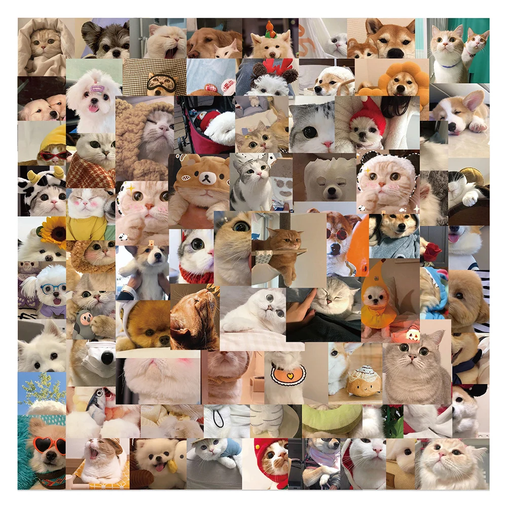 10/30/50/100PCS Mix Cute Cat Dog Animal Meme Stickers Decal DIY Phone Scrapbook Luggage Helmet Graffiti Cool Sticker Kid Toy
10/30/50/100PCS Mix Cute Cat Dog Animal Meme Stickers Decal DIY Phone Scrapbook Luggage Helmet Graffiti Cool Sticker Kid Toy