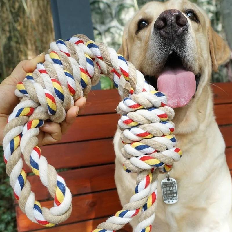 Pets Toys Bite Molar Tooth Rope Dog Toy for large Dog Toys Golden Retriever Chewing Teeth big Toys Outdoor Toys Pet Supplies
Pets Toys Bite Molar Tooth Rope Dog Toy for large Dog Toys Golden Retriever Chewing Teeth big Toys Outdoor Toys Pet Supplies