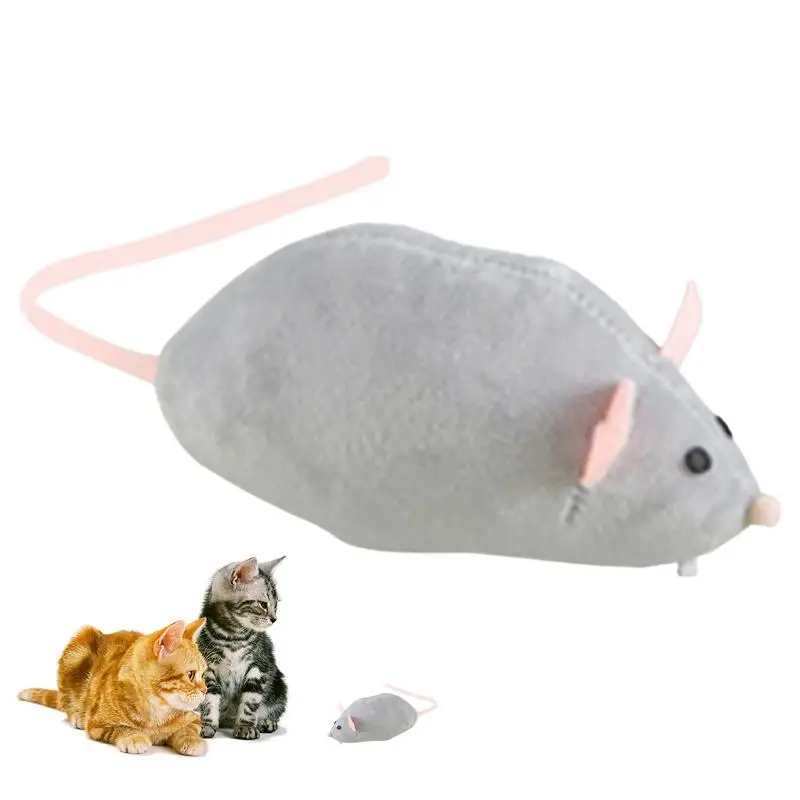 Кошки-мышки игрушки, плюшевые кошачьи игрушки для домашних кошек, устойчивые к укусам кошачьи мяты, игрушки для кошек и котят, интерактивные...
Кошки-мышки игрушки, плюшевые кошачьи игрушки для домашних кошек, устойчивые к укусам кошачьи мяты, игрушки для кошек и котят, интерактивные...