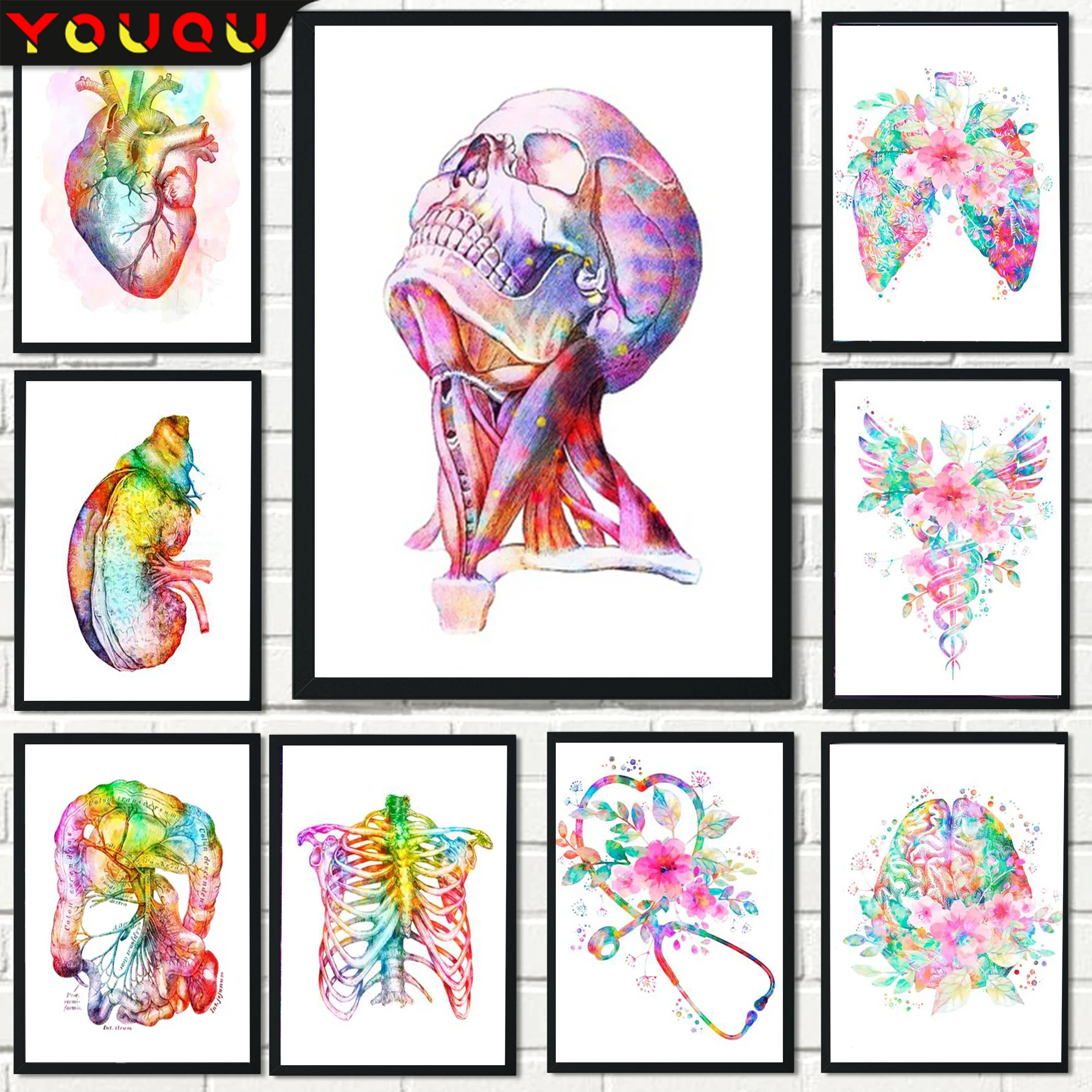 YOUQU Science Series 5d Diamond Painting "organ" Diamond Embroidery Painting Mosaic Picture Hospital School Decoration
YOUQU Science Series 5d Diamond Painting "organ" Diamond Embroidery Painting Mosaic Picture Hospital School Decoration