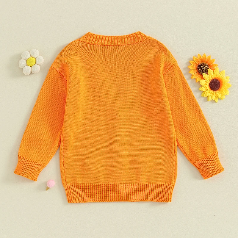 Girls Autumn Winter Knit Sweater Long Sleeve V Neck Flower Embroidery Button Up Knitwear Cardigan
Girls Autumn Winter Knit Sweater Long Sleeve V Neck Flower Embroidery Button Up Knitwear Cardigan