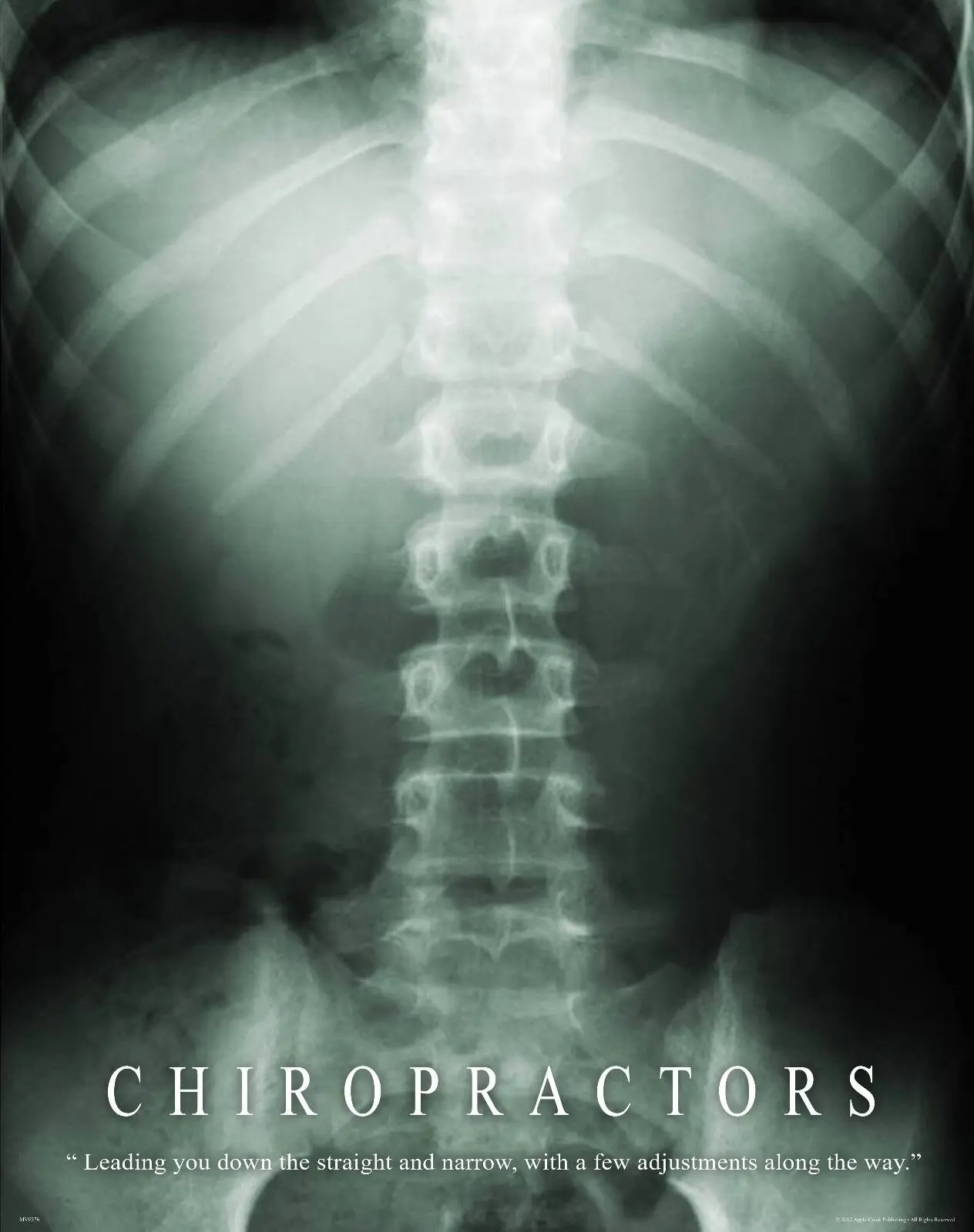 

Chiropractic Motivational Medical Books Office Room Print Art Canvas Poster For Living Room Decor Home Wall Picture