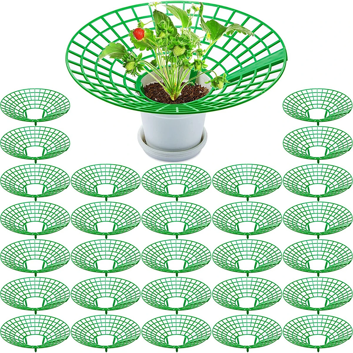 Sturdy Dirt Holder From Plant Frame Cage Racks Legs 5/10/20pcs Growing Strawberry Mold Strawberry Supports With Protector 3 Rot
Sturdy Dirt Holder From Plant Frame Cage Racks Legs 5/10/20pcs Growing Strawberry Mold Strawberry Supports With Protector 3 Rot