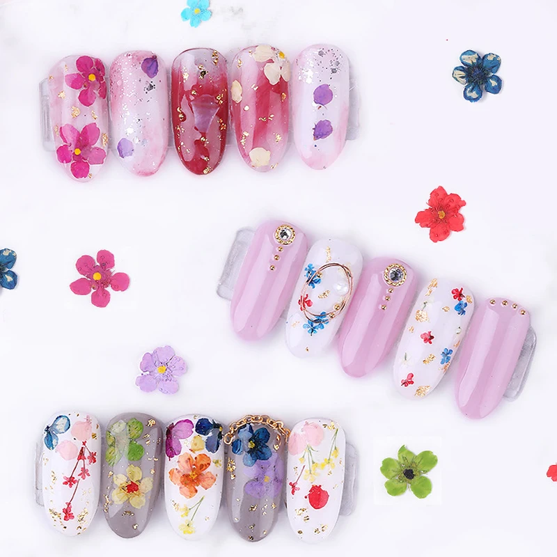 24 Colors Dry Flower Mini Real Colorfast Natural Flower Nail Art Supplies 3D Decals Nail Decorative Stickers Nail Art Nail Art
24 Colors Dry Flower Mini Real Colorfast Natural Flower Nail Art Supplies 3D Decals Nail Decorative Stickers Nail Art Nail Art