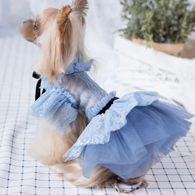 Dog Wedding Dress Summer Dog Clothes Princess Costumes Girl Dog Clothing Pet Dresses Poodle Pomeranian Schnauzer Pet Outfit
Dog Wedding Dress Summer Dog Clothes Princess Costumes Girl Dog Clothing Pet Dresses Poodle Pomeranian Schnauzer Pet Outfit