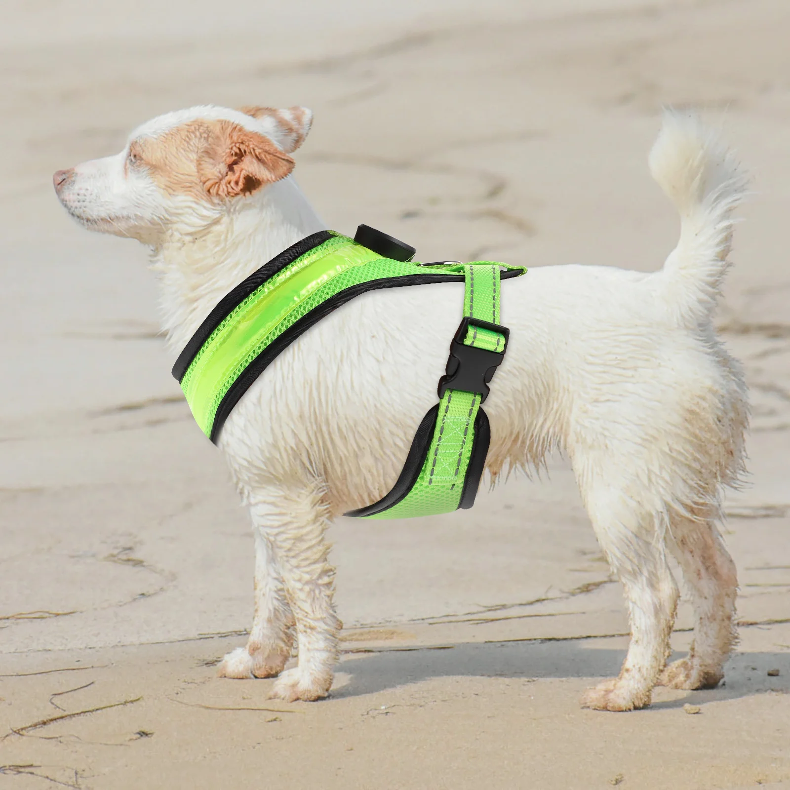 Dog Vest Harness Pet Ledreflective Night Walking Dogs Puppy Light Catlarge Heavy Duty Glowing Visibilitydark Set Lights
Dog Vest Harness Pet Ledreflective Night Walking Dogs Puppy Light Catlarge Heavy Duty Glowing Visibilitydark Set Lights