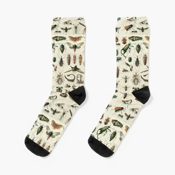 Insects 2 Crew Socks Winter Girls Unisex Pattern Short Ladies Autumn Mens Women Cartoon Comfortable Cotton Funny Sports Black
Insects 2 Crew Socks Winter Girls Unisex Pattern Short Ladies Autumn Mens Women Cartoon Comfortable Cotton Funny Sports Black