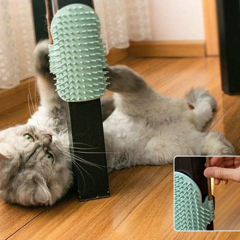 Cactus Scratching Massage Combs for Short Long Furry Cats Cat Supplies for Kitten Teaser Massager Tool
Cactus Scratching Massage Combs for Short Long Furry Cats Cat Supplies for Kitten Teaser Massager Tool
