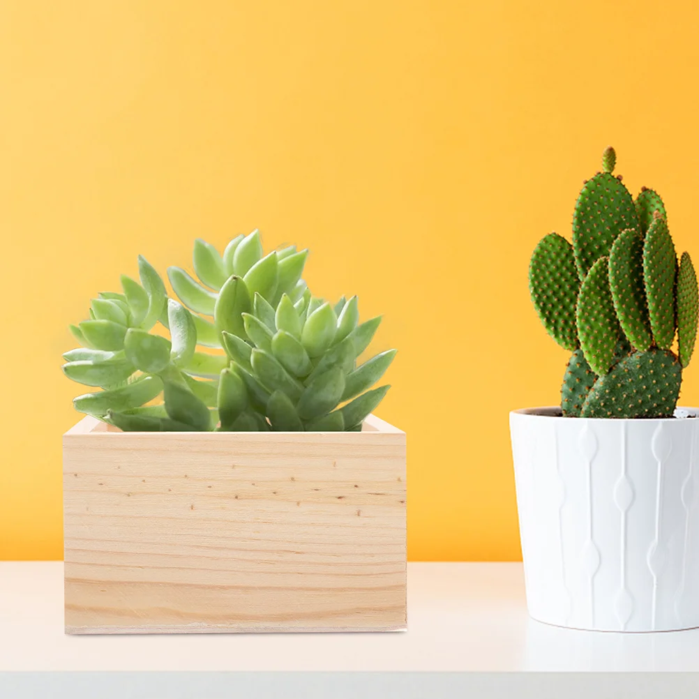 4 Pcs Crafts Handicraft Wooden Box Cactus Crates Unfinished Desktop Storage Organizers
4 Pcs Crafts Handicraft Wooden Box Cactus Crates Unfinished Desktop Storage Organizers
