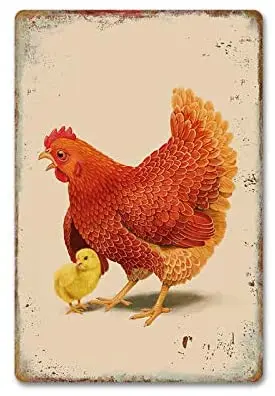 

Farmhouse Sign Metal Chicken Signs Funny Wall Signs Chickens Art Tin Signs Chicken Coop Country Decor for Home