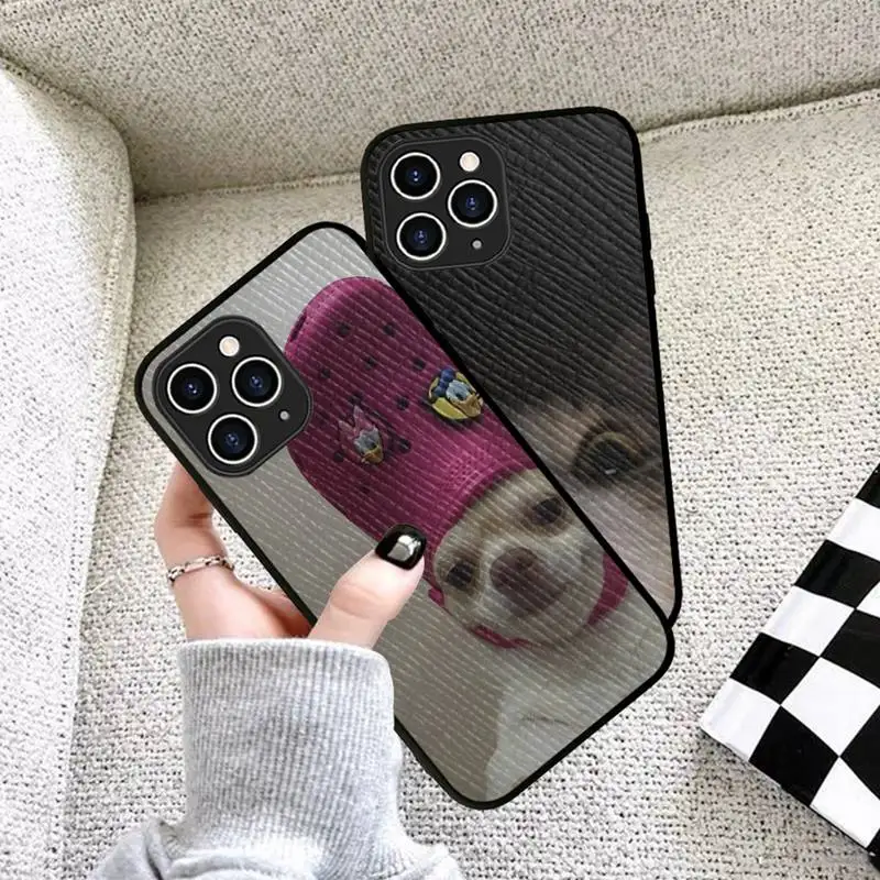Funny Animals Cat Dog Duck Phone Case Hard Leather Case for iPhone 11 12 13 Mini Pro Max 8 7 Plus SE 2020 X XR XS Coque 
Funny Animals Cat Dog Duck Phone Case Hard Leather Case for iPhone 11 12 13 Mini Pro Max 8 7 Plus SE 2020 X XR XS Coque