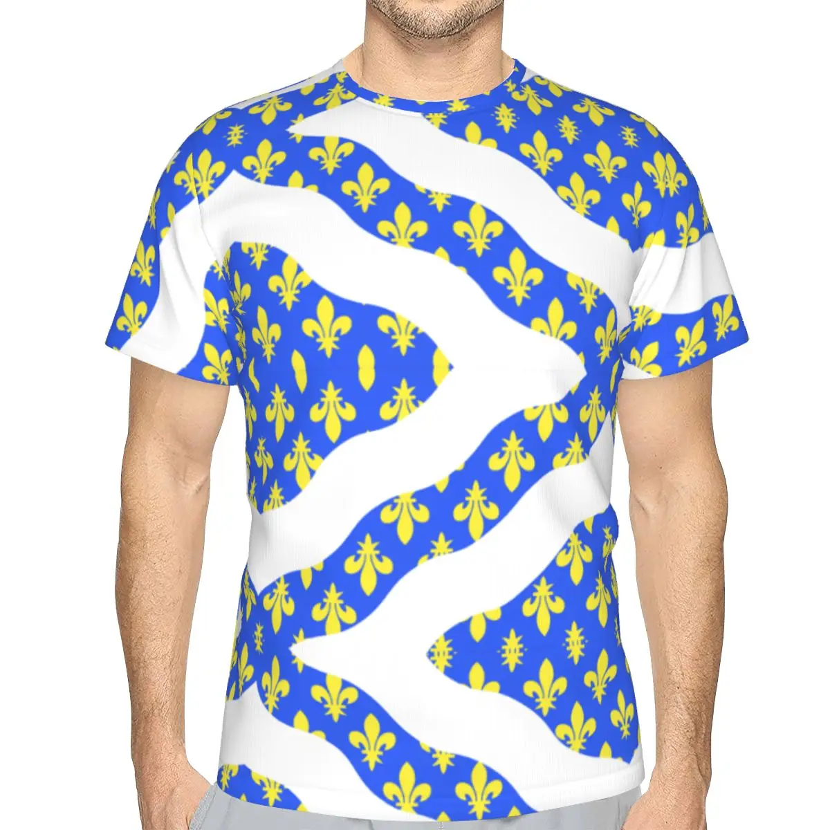 Drapeau Fr Département Yvelines T-shirt Top Quality Men's T Shirt Print Flags of the regions of France Humor Graphic Tees Tops
Drapeau Fr Département Yvelines T-shirt Top Quality Men's T Shirt Print Flags of the regions of France Humor Graphic Tees Tops
