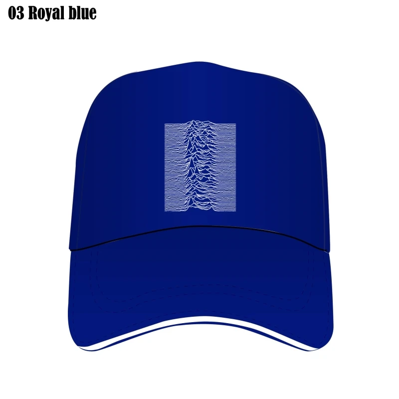 Joy Division Unknown Pleasures Black Custom Hat Lost Bill Hats Bill Hat Pure Mesh
Joy Division Unknown Pleasures Black Custom Hat Lost Bill Hats Bill Hat Pure Mesh