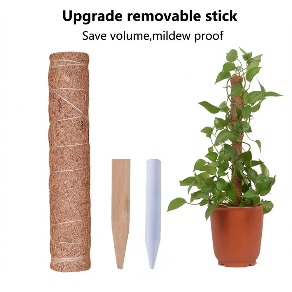 Широкий спектр применения, аксессуары для влюбленных, товары для дома
Широкий спектр применения, аксессуары для влюбленных, товары для дома