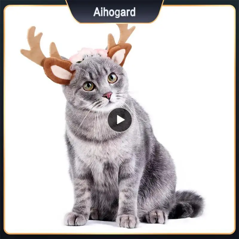 Cute Cat Headdress Pet Supplies Christmas Pet Elk Antlers Cat Accessories Home Pet Supplies Christmas Decoration Dropshipping
Cute Cat Headdress Pet Supplies Christmas Pet Elk Antlers Cat Accessories Home Pet Supplies Christmas Decoration Dropshipping
