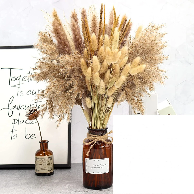 30Pcs Dried Flowers Pampas Grass Natural Plants Bouquet Lagurus Ovatus Flores Secas Wedding Home Easter Decoration Photo Props
30Pcs Dried Flowers Pampas Grass Natural Plants Bouquet Lagurus Ovatus Flores Secas Wedding Home Easter Decoration Photo Props