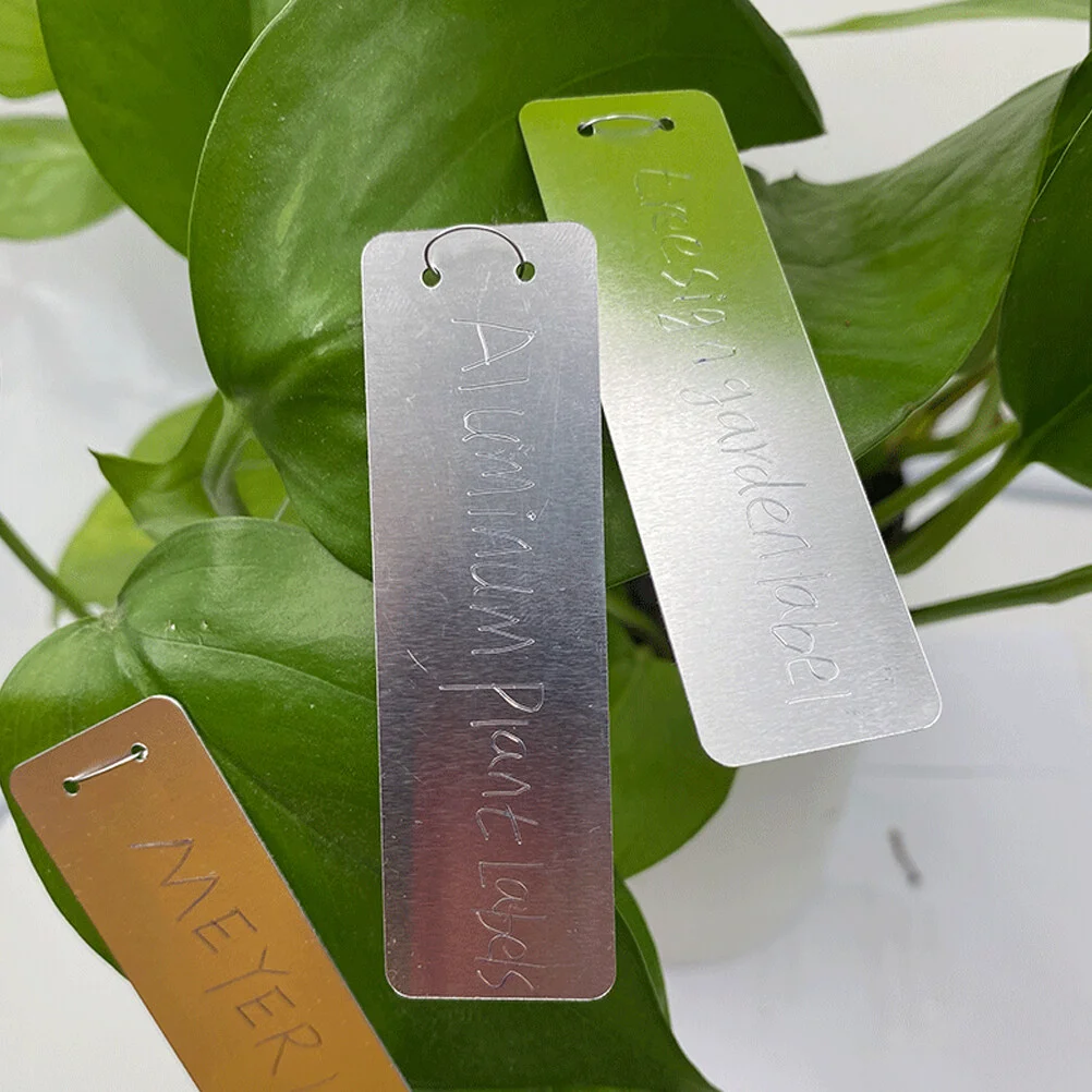 50 Pcs Tray Label Tags Small Metal Outdoor Garden Metal Plants Aluminum Labels DIY Plants
50 Pcs Tray Label Tags Small Metal Outdoor Garden Metal Plants Aluminum Labels DIY Plants