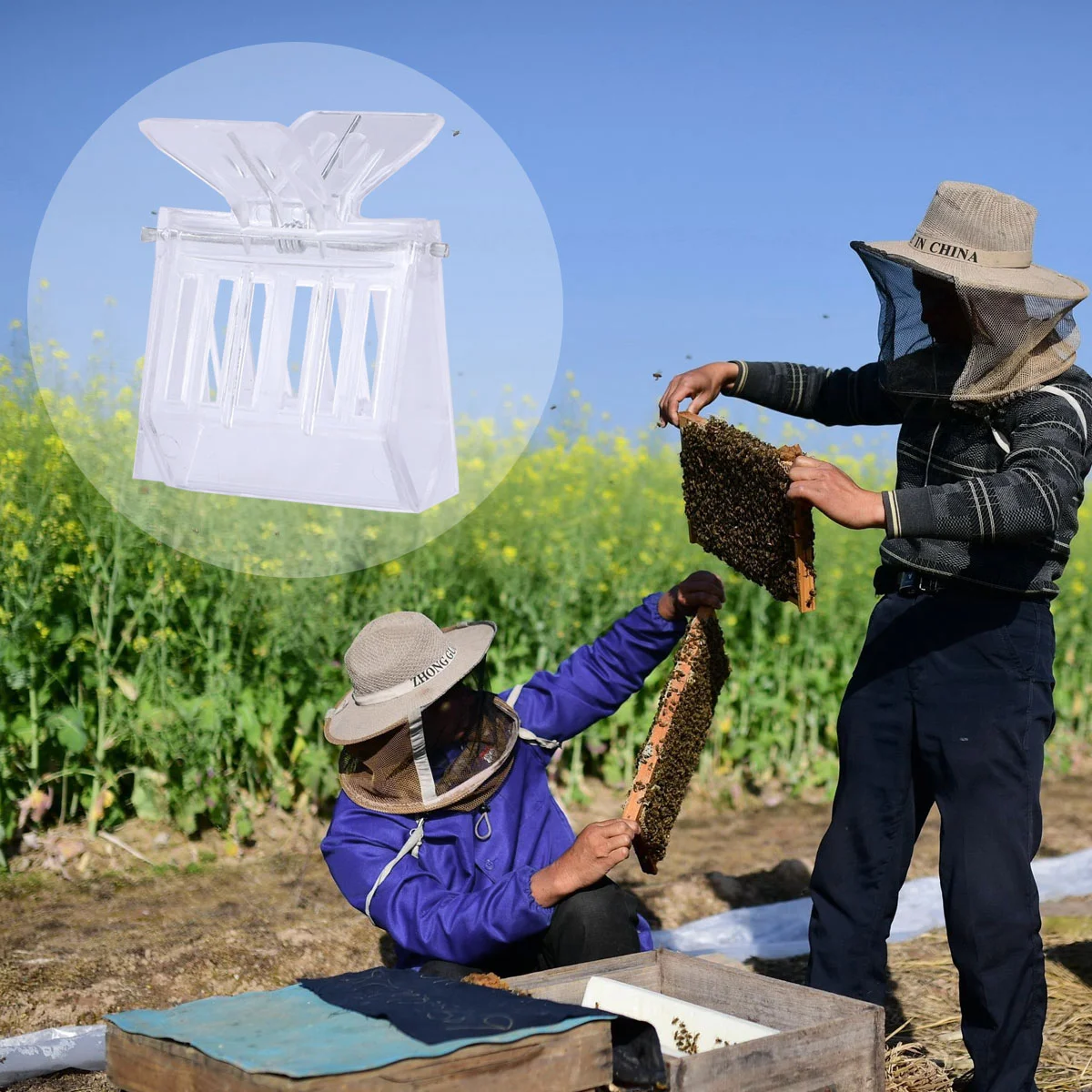 Catcher Clip Beekeeping Cage Clips Beekeeper Tool Catching Tools Cages Equipment Accessoires Supplies Transparent Butler Rearing
Catcher Clip Beekeeping Cage Clips Beekeeper Tool Catching Tools Cages Equipment Accessoires Supplies Transparent Butler Rearing