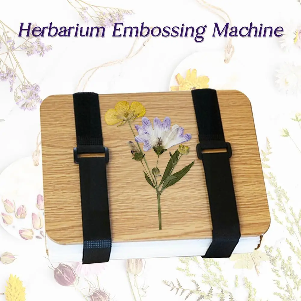 Plant Specimen Tool Kit Diy Dry Flower Press Wooden Plant Press Tool Flower Press Kit Plant Leaf Press Set For Diy Gift 1se X4t2
Plant Specimen Tool Kit Diy Dry Flower Press Wooden Plant Press Tool Flower Press Kit Plant Leaf Press Set For Diy Gift 1se X4t2