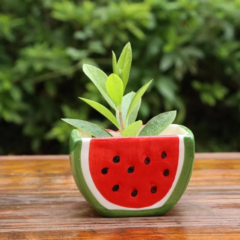 Watermelon Ceramic Flowerpot Vase Creative Watermelon Fruit Toy Sticker Home Wedding Birthday Christmas Garden Balcony Decor
Watermelon Ceramic Flowerpot Vase Creative Watermelon Fruit Toy Sticker Home Wedding Birthday Christmas Garden Balcony Decor