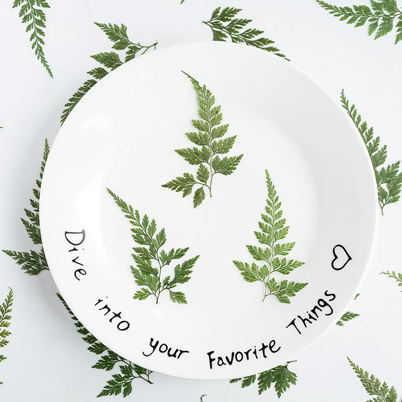 24pcs/pack Natural Fern Leaf DIY Epoxy Crafts Student Handcraft Foliage Specimens Embossing Phone Case Bookmark
24pcs/pack Natural Fern Leaf DIY Epoxy Crafts Student Handcraft Foliage Specimens Embossing Phone Case Bookmark