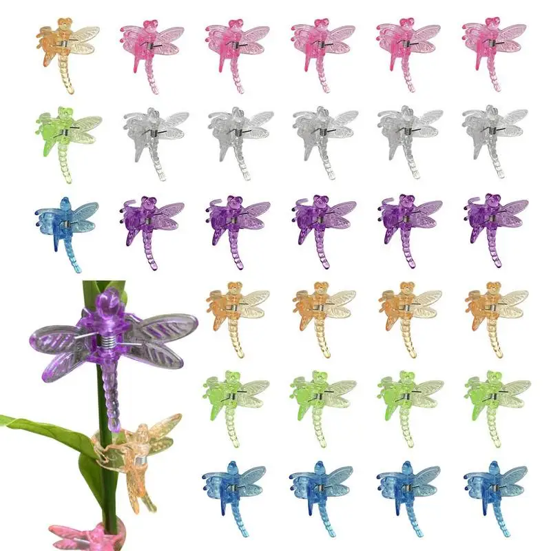 Vegetable Clips For Vines 30PCS Garden Dragonfly Shape Grafting Clips Cute Flowers Grafting Tool For Phalaenopsis Reusable
Vegetable Clips For Vines 30PCS Garden Dragonfly Shape Grafting Clips Cute Flowers Grafting Tool For Phalaenopsis Reusable